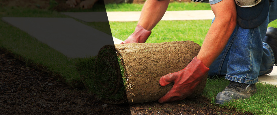 New Tripoli Landscapers